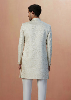 Light Cream Paisley Indo Western image number 3
